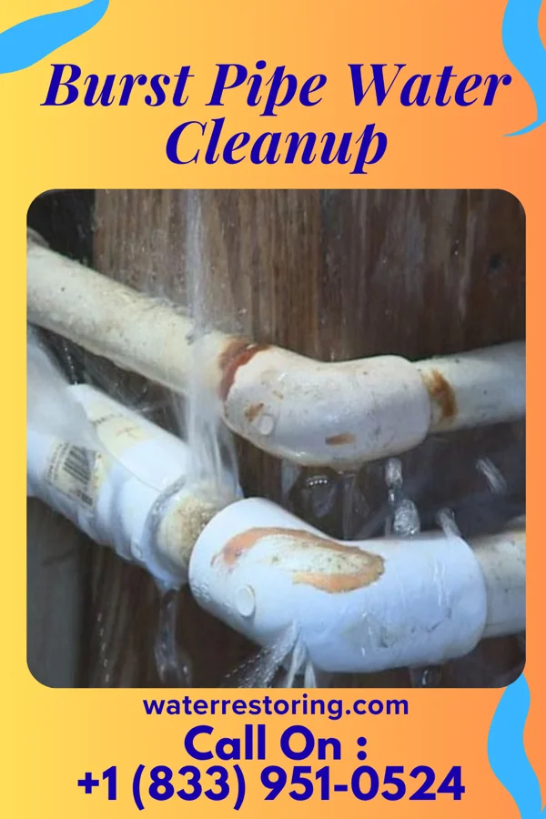 Burst Pipe Water Cleanup in Wellsville, PA