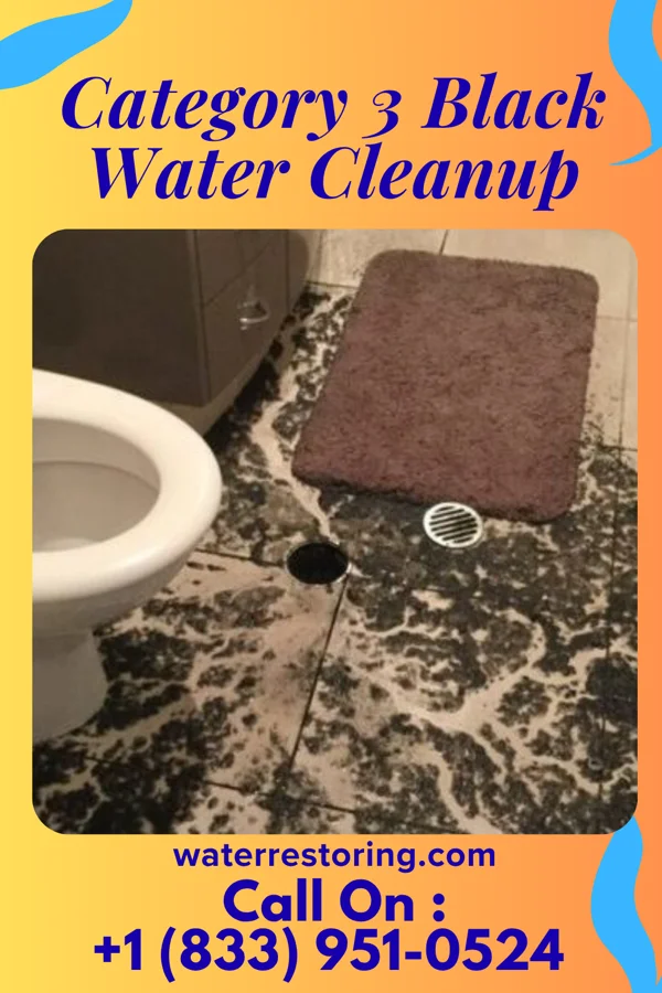 Category 3 Black Water Cleanup in Wellsville, PA
