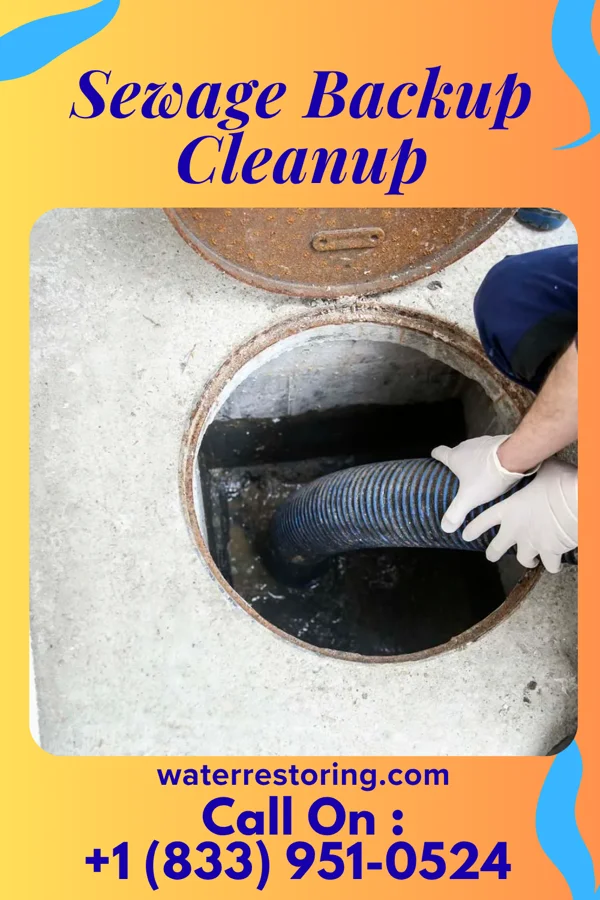 Sewage Backup Cleanup in Wellsville, PA